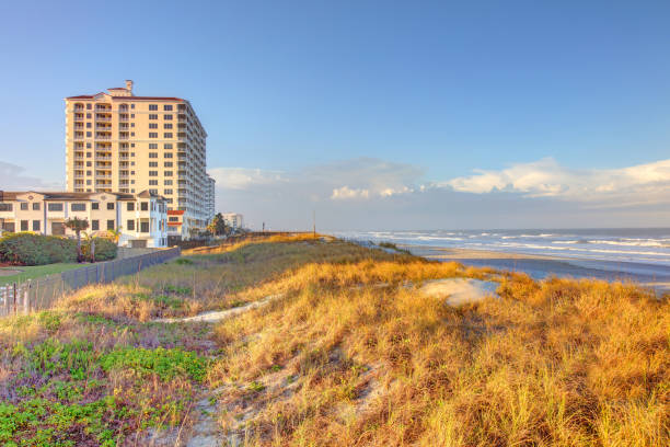istock Jacksonville Beach, Florida 2021323291