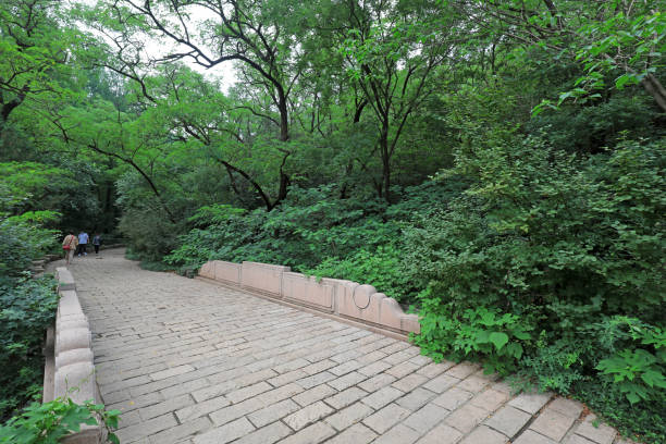 Cherry valley scenic spot, Beijing Botanical Garden, natural scenery, China