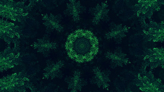 Forest kaleidoscope. Foliage circle. Green color tree leaves texture round symmetrical decorative ornament on dark black abstract art illustration background.