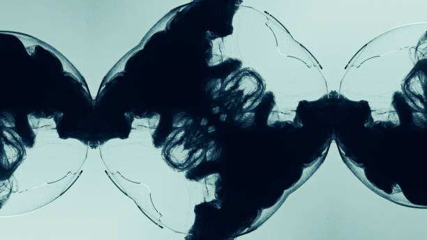 Ink shot. Fractal design. Smog cloud. Black vapor in transparent broken glass round ball mirrored ornament on blue art illustration abstract background.