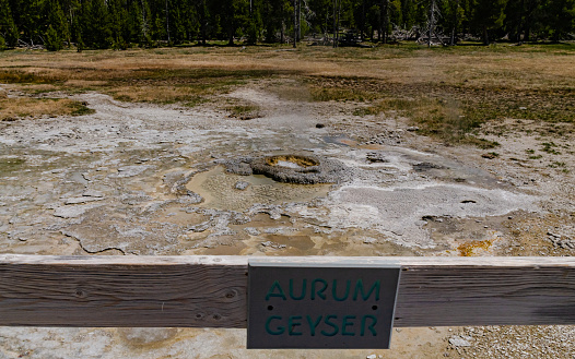 Boiling water bubbler Geyser. Active geyser with major eruptions. Yellowstone NP, Wyoming, USA