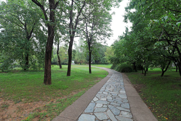 istock The path is in Beijing Botanical Garden, China 2021385197