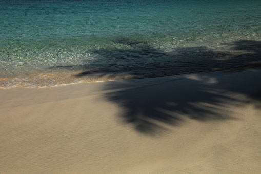 Shadows from palm trees on the coast of a beautiful beach on the island of St. John in the US Virgin Islands.