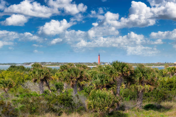 New Smyrna beach park, Florida.