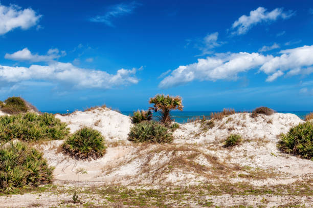 istock Beach sand dunes in sunny day, Florida 2021443755