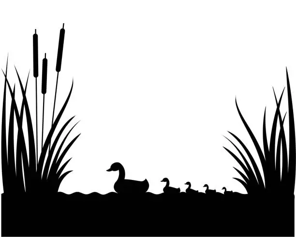 Vector illustration of Silhouette of reeds, lake, swimming duck with ducklings.