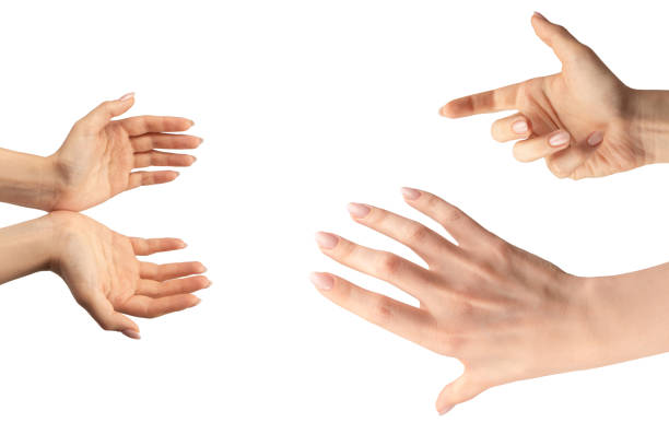 Woman hand isolated on a white background.