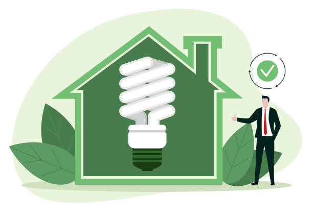 illustrazioni stock, clip art, cartoni animati e icone di tendenza di utilizzo di una lampada ad alta efficienza energetica. risparmio energetico nelle abitazioni domestiche e sostenibili - budget green business finance