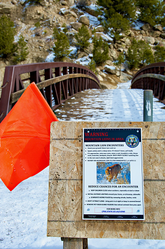 Buena Vista, Colorado, USA - February 10, 2024: A sign posted by Colorado Parks and Wildlife warns residents of recent mountain lion activity at the intersection of the Whipple Bridge over the Arkansas River and the Arkansas River Trail.