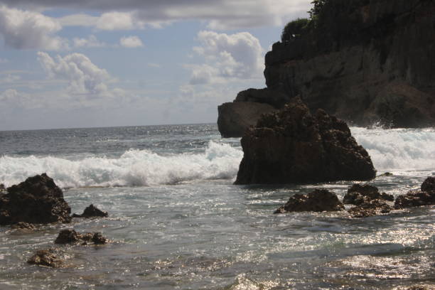 istock coral at the beach 2021738022