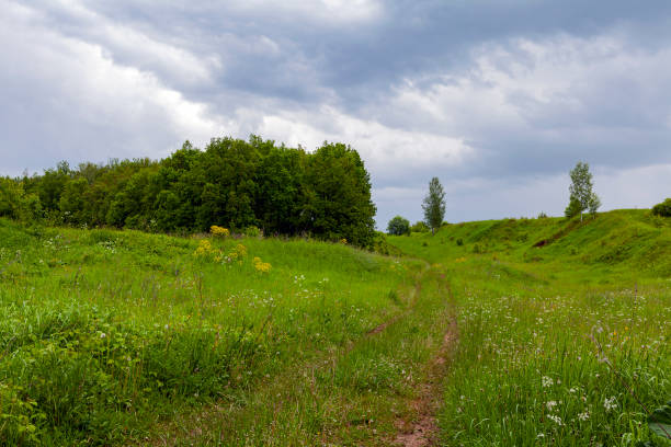istock Cloudy countryside landscape with green meadows, birch trees and a road 2021741140