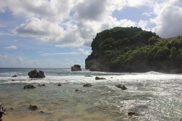istock coral at the beach 2021756248