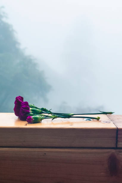 Memorial Carnations on a Foggy Day