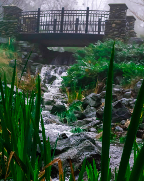 Little Creek on a Foggy Day