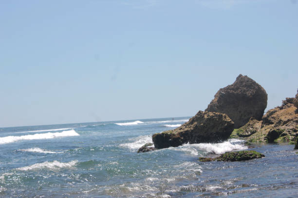istock coral at the beach 2021806622