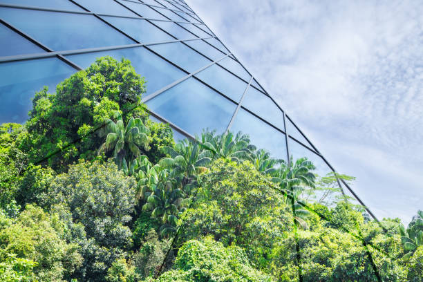 istock Go Green – Sustainable Resources – Green Building 2021816283
