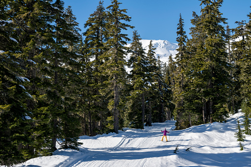 Skier skate skis down track through forest