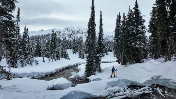 istock Backcountry skier crosses stream in forest 2021837050