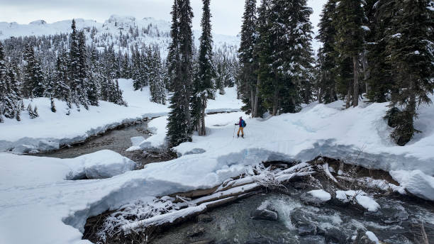 istock Backcountry skier crosses stream in forest 2021837052