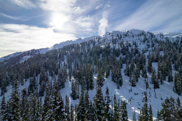 istock Mountains and forest in fresh snow 2021840648