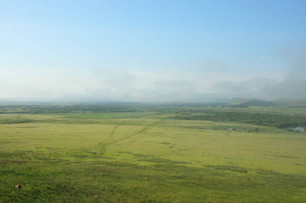 Endless flat steppe with sparse thickets of forest in a picturesque steppe covered with thick morning fog on a summer morning. Valley of the Bely Iyus River, Khakassia, Siberia, Russia.