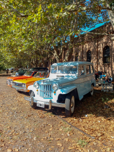 jeep velho ika estanciera perua por volta de 1960 sob as árvores em um show de carros clássicos em um parque - utilitario - fotografias e filmes do acervo