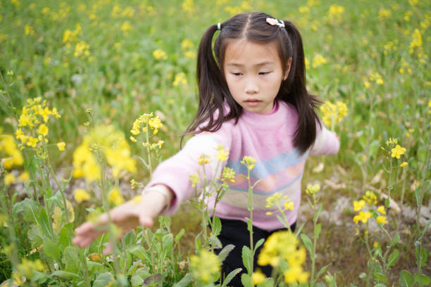 Little girl picking rape flowers