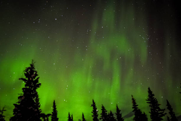 istock Alaskan Aurora Borealis in winter 2021891829