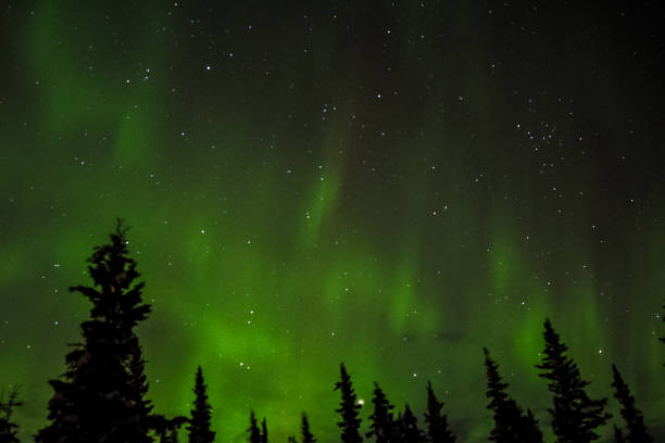 istock Alaskan Aurora Borealis in winter 2021891831