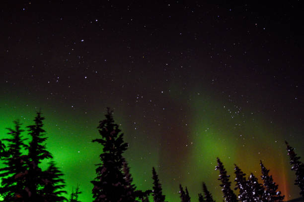 istock Alaskan Aurora Borealis in winter 2021892358