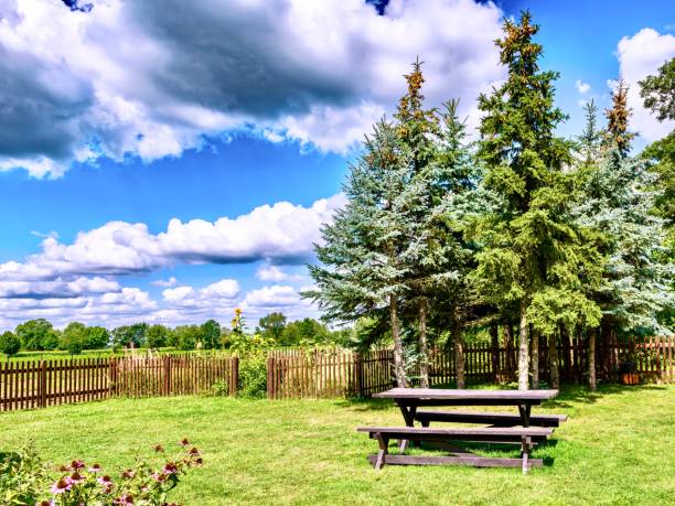 Wooden bench in the backyard of a country house with a beautiful sky, Poland.