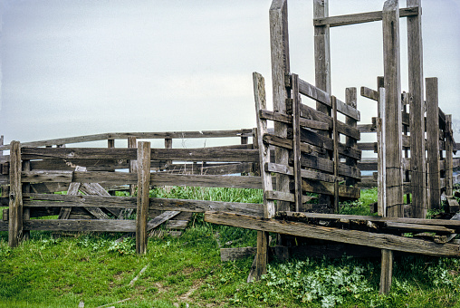 An old, empty, and crumbling horse pen sits abandoned in a field on an overcast afternoon.
