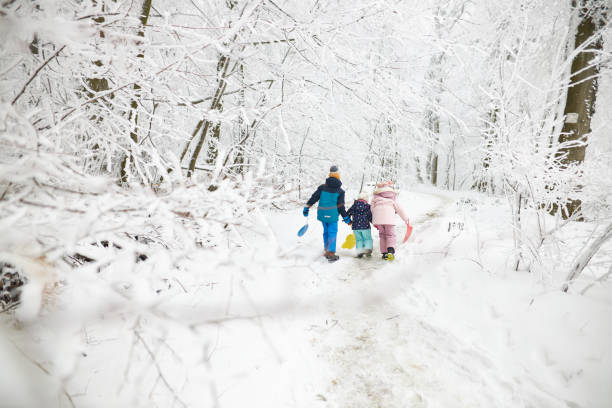 istock Beautiful children enjoying winter day 2022019272