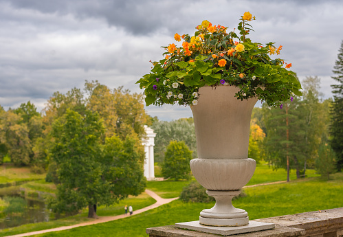 Stone vases with flowers in Pavlovsky Park, Russia St. Petersburg.