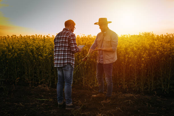 istock farmers on field 2022029848