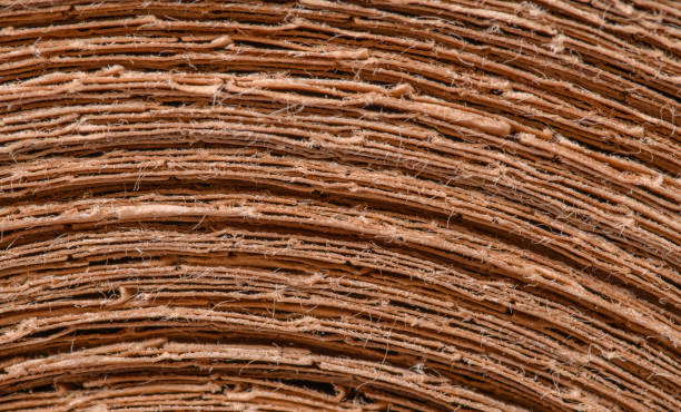 macro close-up of a rolled roll of waste paper, brown eco-friendly paper - gold wire bildbanksfoton och bilder