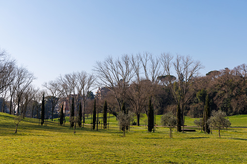 Lovely view of nature in Villa Doria Pamphilj - Rome