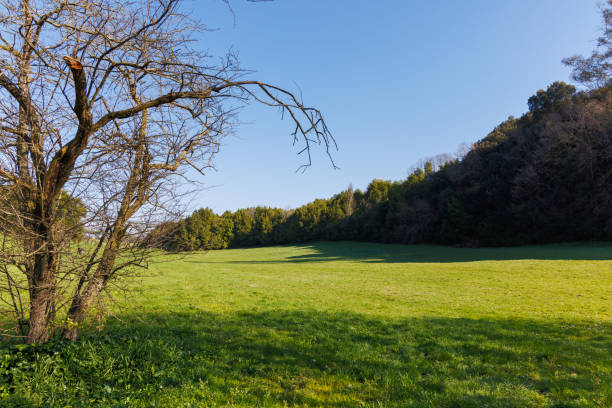 istock Nature in Villa Doria Pamphilj - Rome 2022131825