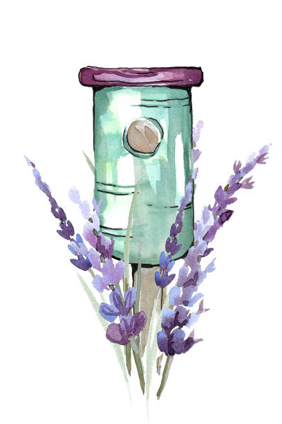 A wooden round birdhouse in emerald color A wooden round birdhouse in emerald color with a pink roof and a circle-shaped window surrounded by lavender with green foliage. hand drawn watercolor illustration on white background for your design primrose window stock illustrations
