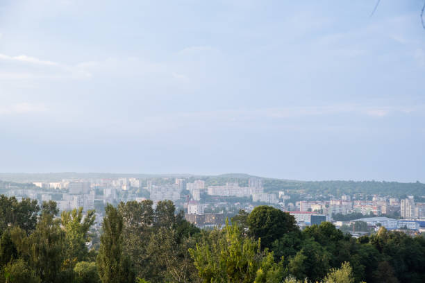 Panoramic View of city forest trees on background Copy space