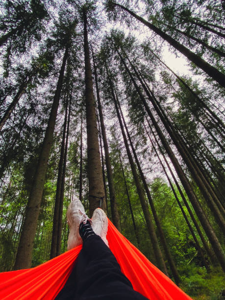 istock pov woman in hammock in pine trees forest 2022169777