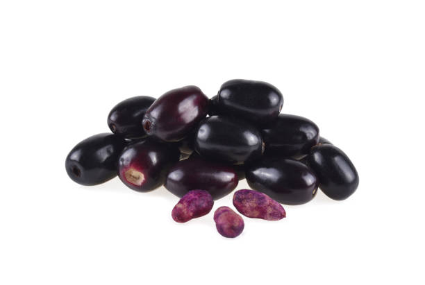 jambolan fruits on white background - plum red black food ストックフォトと画像