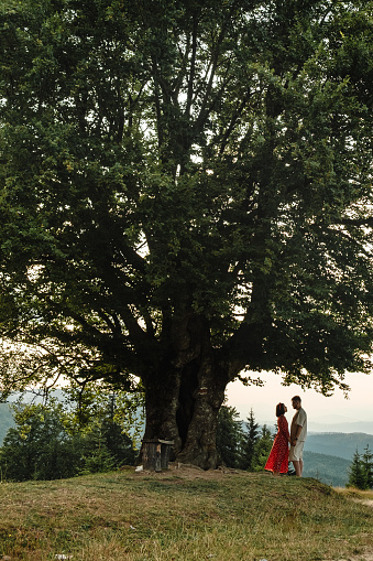 a couple stands and looks at each other on a bench by a big old beech tree with a view of the carpathians mountains