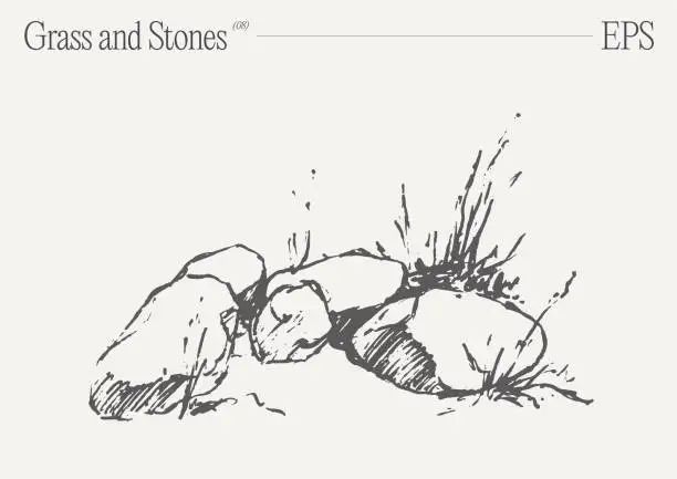 Vector illustration of Hand drawn vector illustration of grass and rocks on blank backdrop. Isolated sketch.