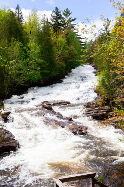 istock a creek with trees on the bank and a bench at the bottom 2022246358