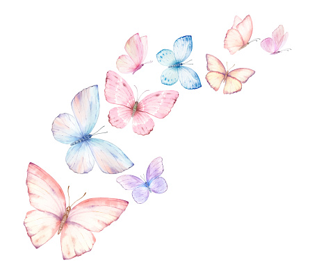 Pink blue flying watercolor vector butterflies. Excellent for wedding design, stationery, invitations, birthday celebration, postcards. Hand painted illustration.