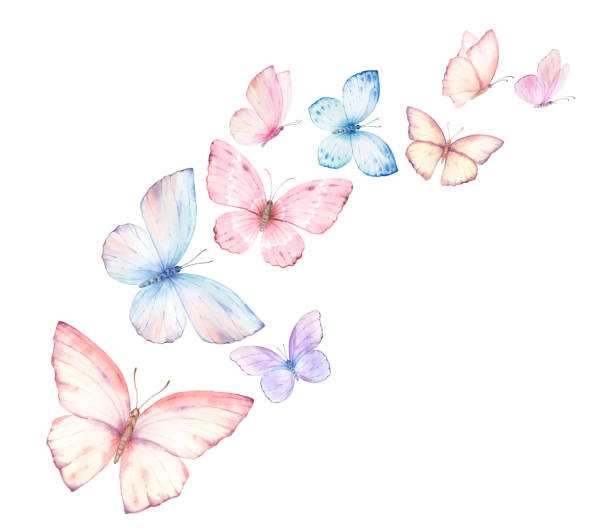 Pastel Shades Butterfly Pastel Shades Butterfly