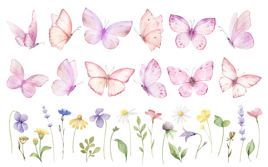 Pink Butterflies vector clipart set. Wildflowers and herbs. Watercolor hand painted illustration. Party invitation, birthday celebration, wedding design. Spring or summer decoration.