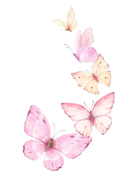 Vector illustration of Pink flying watercolor vector butterflies. Excellent for wedding design, stationery, invitations, postcards. Hand painted illustration.