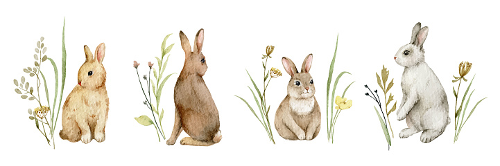 Watercolor vector set of cute bunnies  and twigs. Design for Easter cards, baptisms, invitations, postcards, packaging. Hand painted illustration.